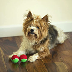 Midlee Merry Christmas small dog tennis ball closeup promotes safe soft play.