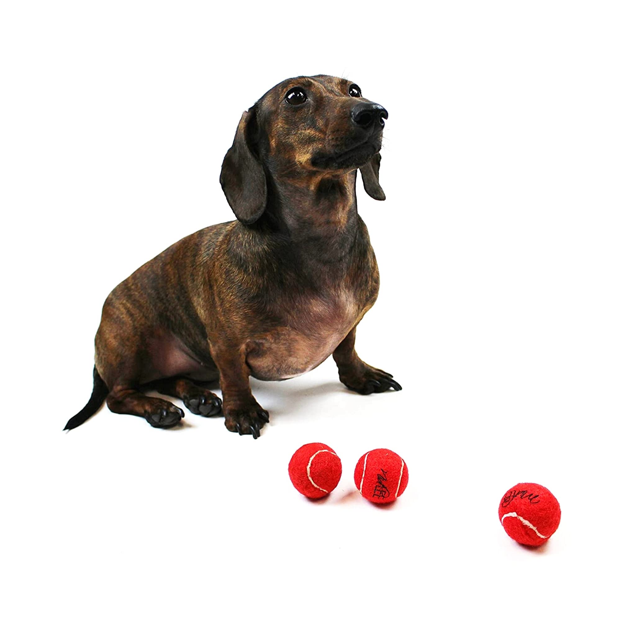Midlee mini dog tennis balls red close-up texture, soft exterior for gentle mouth grip