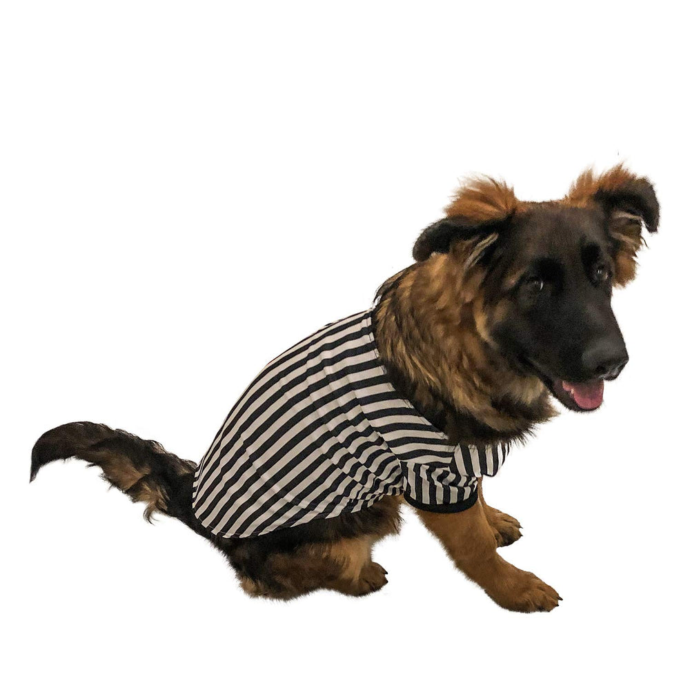 Midlee Referee dog costume front view for Halloween and game-day fun