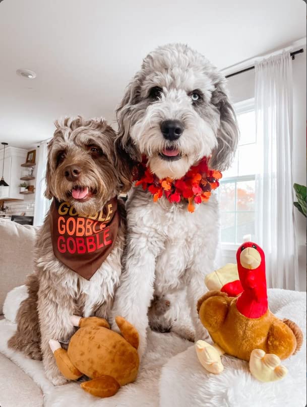 Midlee Roasted Thanksgiving Turkey Plush Dog Toy beside a dog bowl for festive setup