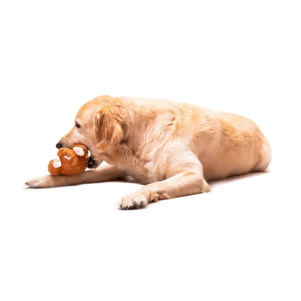 Midlee Roasted Thanksgiving Turkey Plush Dog Toy on a couch with pet-friendly decor