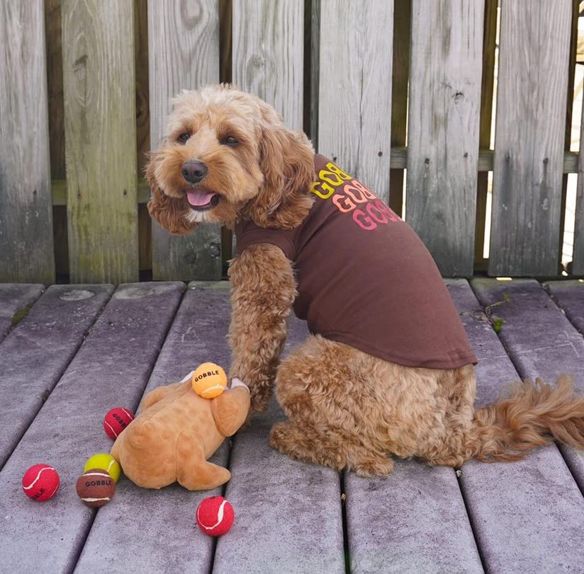 Midlee Roasted Thanksgiving Turkey Plush Dog Toy size reference highlighting 9x6x5 inch dimensions