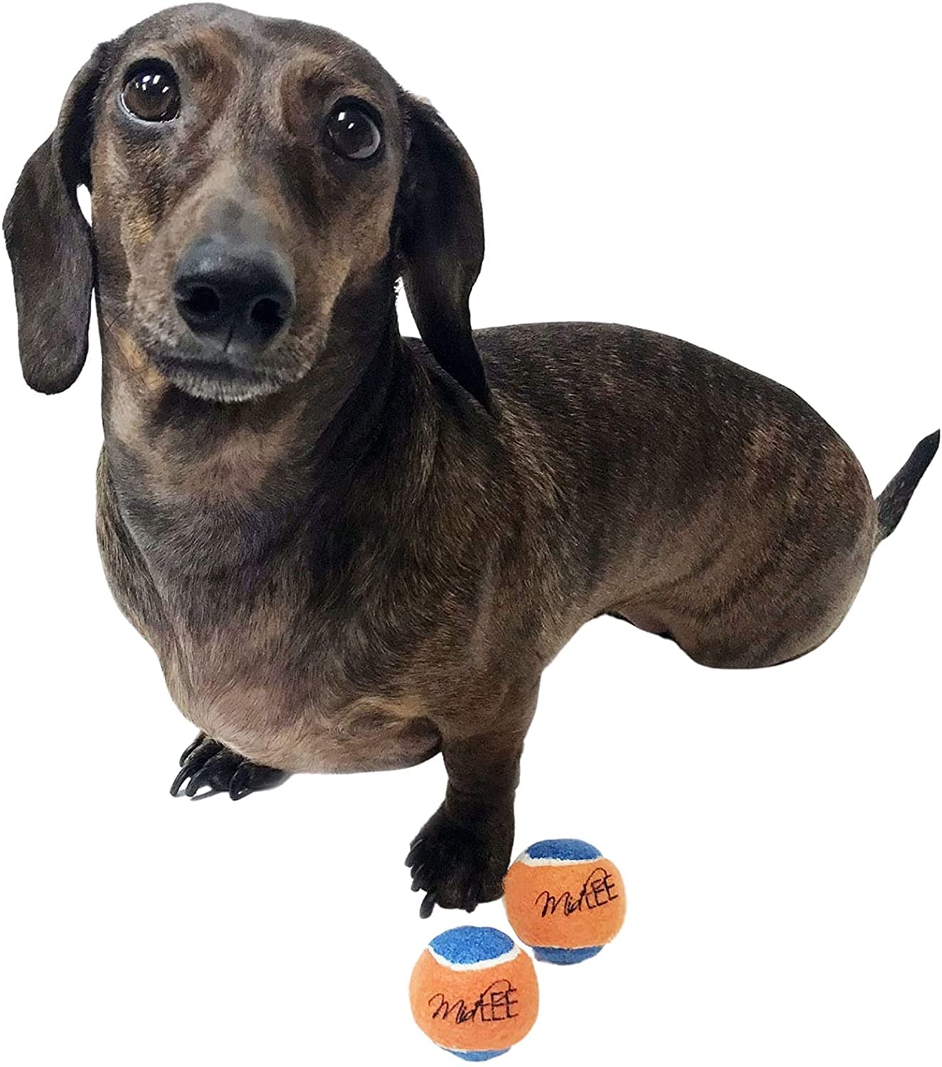 Midlee squeaky mini tennis ball soft felt gentle on teeth during play
