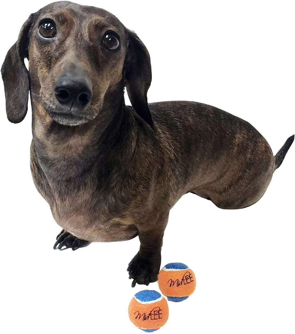 Midlee squeaky mini tennis ball soft felt gentle on teeth during play