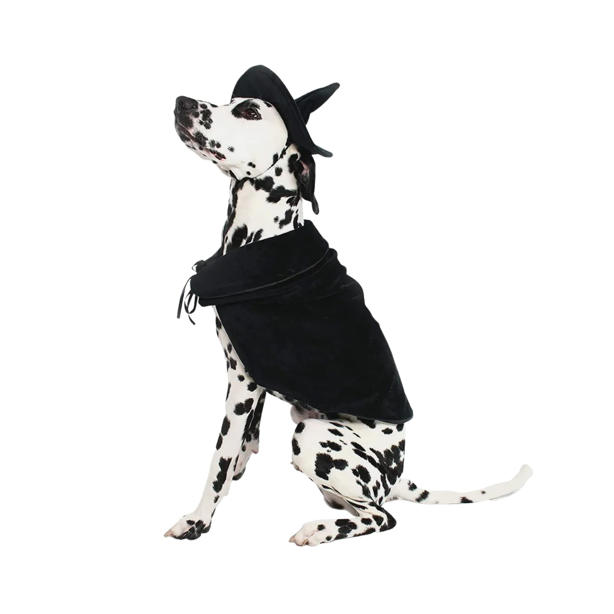 Midlee Witch Cape Hat Dog Costume XXL full outfit for Halloween dress-up