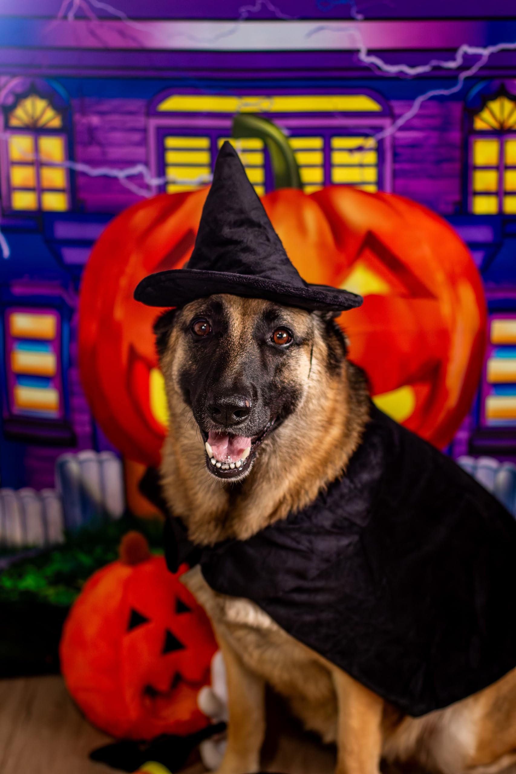 Midlee Witch Hat with chin strap stays in place during events