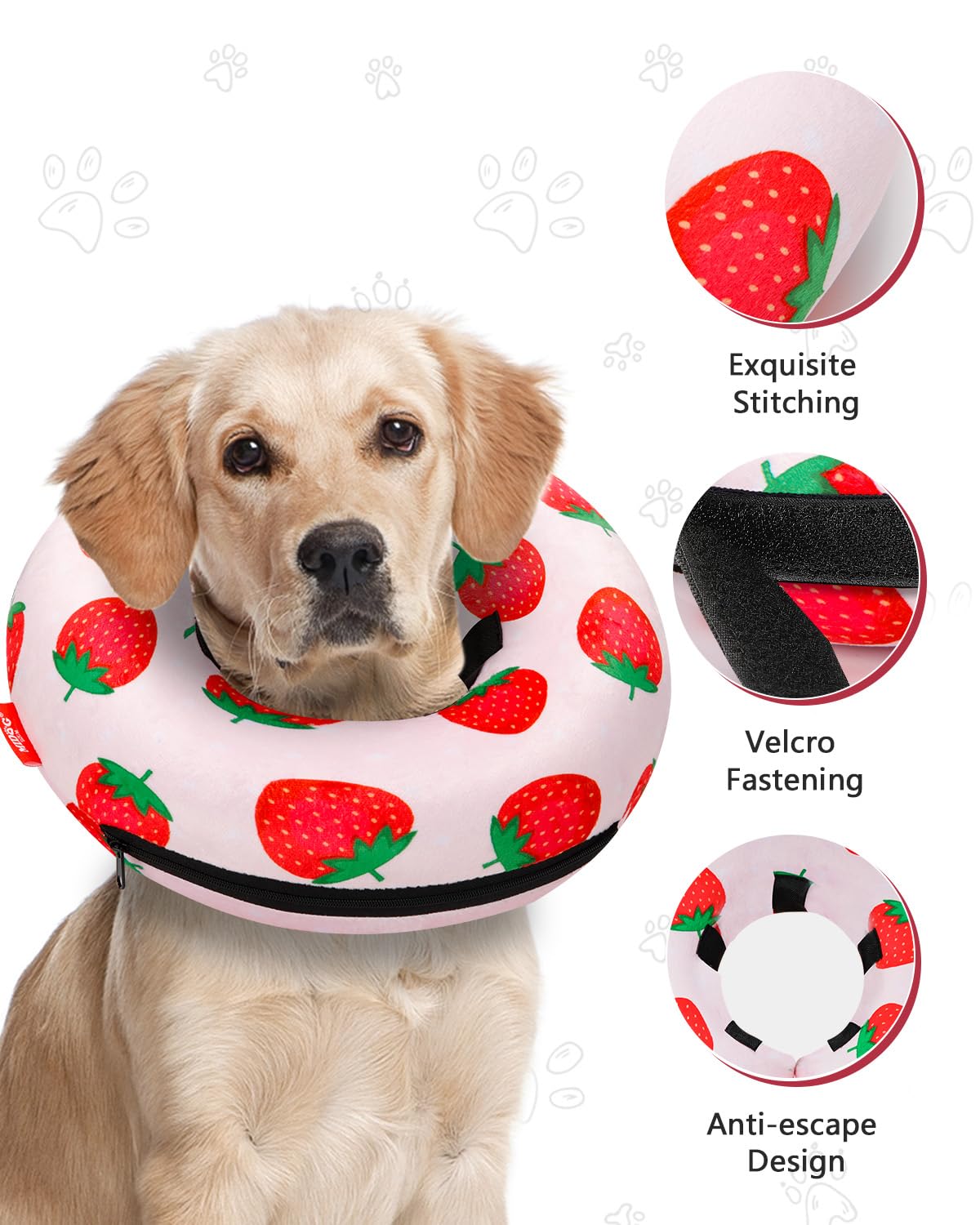 MIDOG adjustable buckle secures fit for active dogs strawberry xs