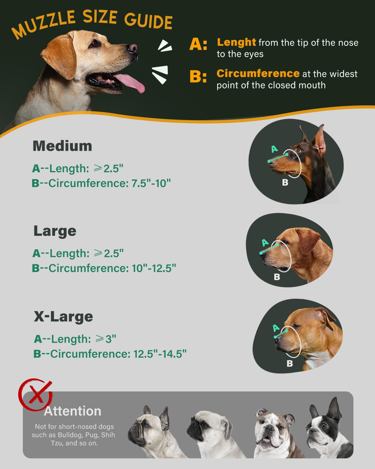 MIDOG adjustable loop ensures secure fit and anti-slip hold.