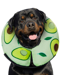 MIDOG avocado donut cone inflated for soft protection during recovery.