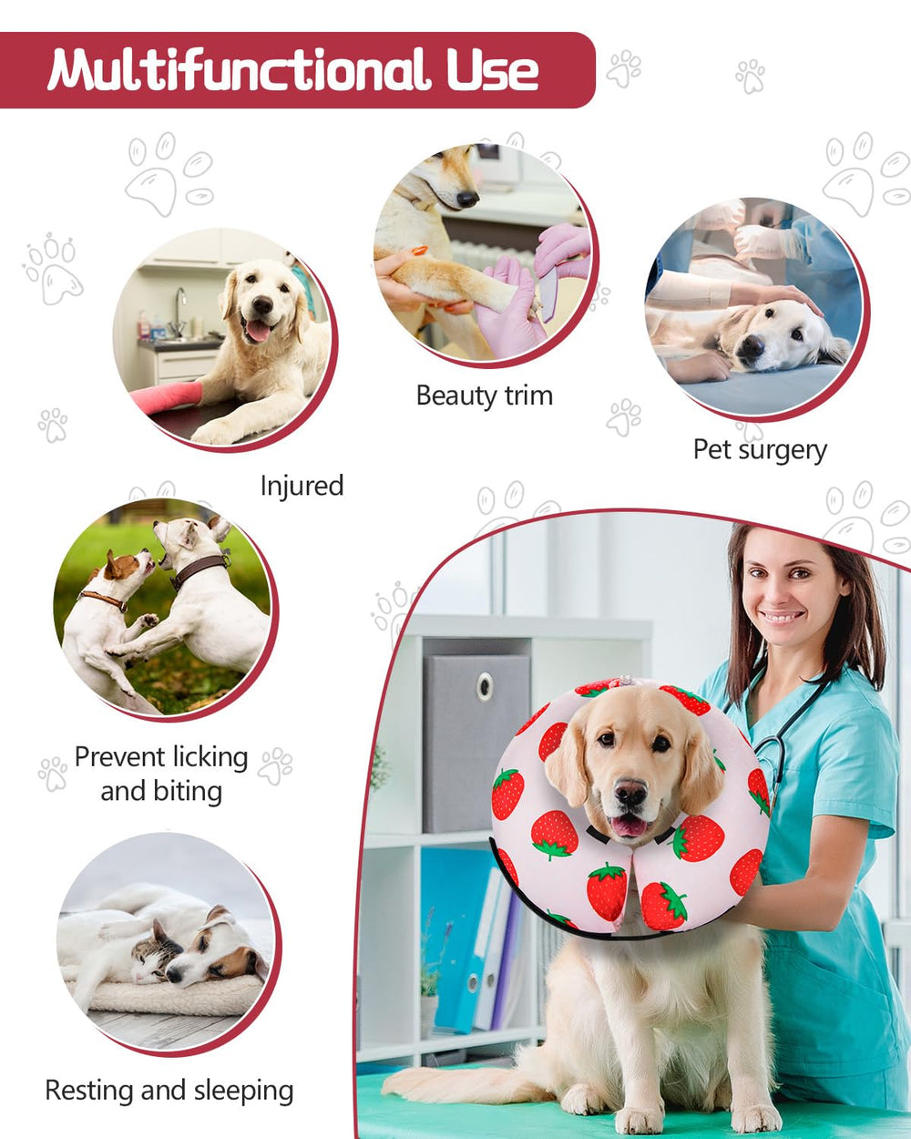MIDOG craftsmanship since 2019 focused on durable recovery aids strawberry xs