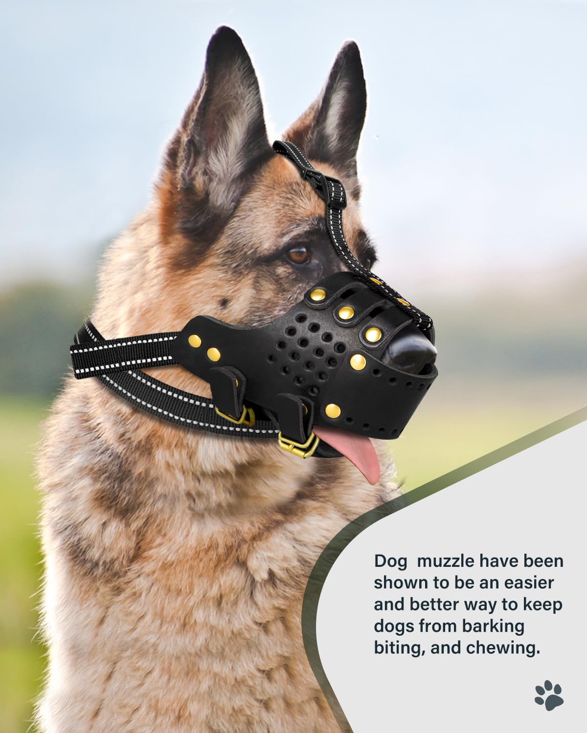 MIDOG comfortable-strap muzzle reduces pressure on the face and improves wear during long outings.