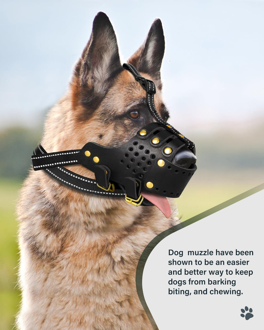 MIDOG comfortable-strap muzzle reduces pressure on the face and improves wear during long outings.