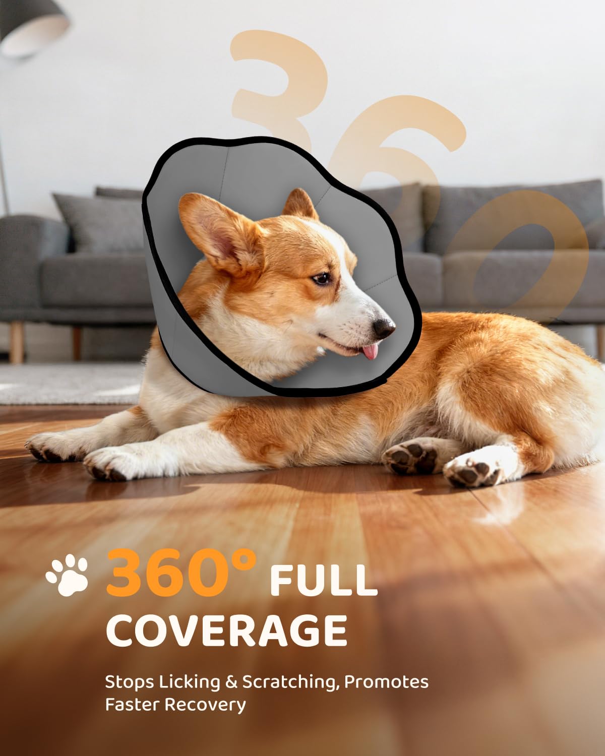 MIDOG Dog Cone Collar depth 4-10 inches provides thorough, angle-spanning protection.