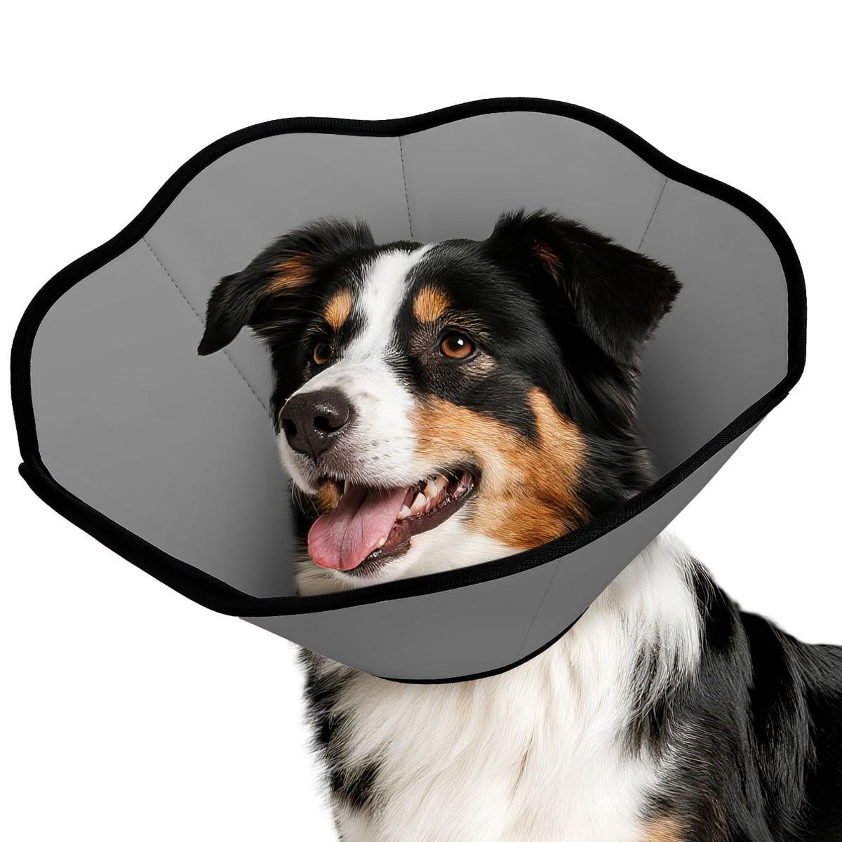 MIDOG Dog Cone Collar soft fits securely to block licking and protect wounds.