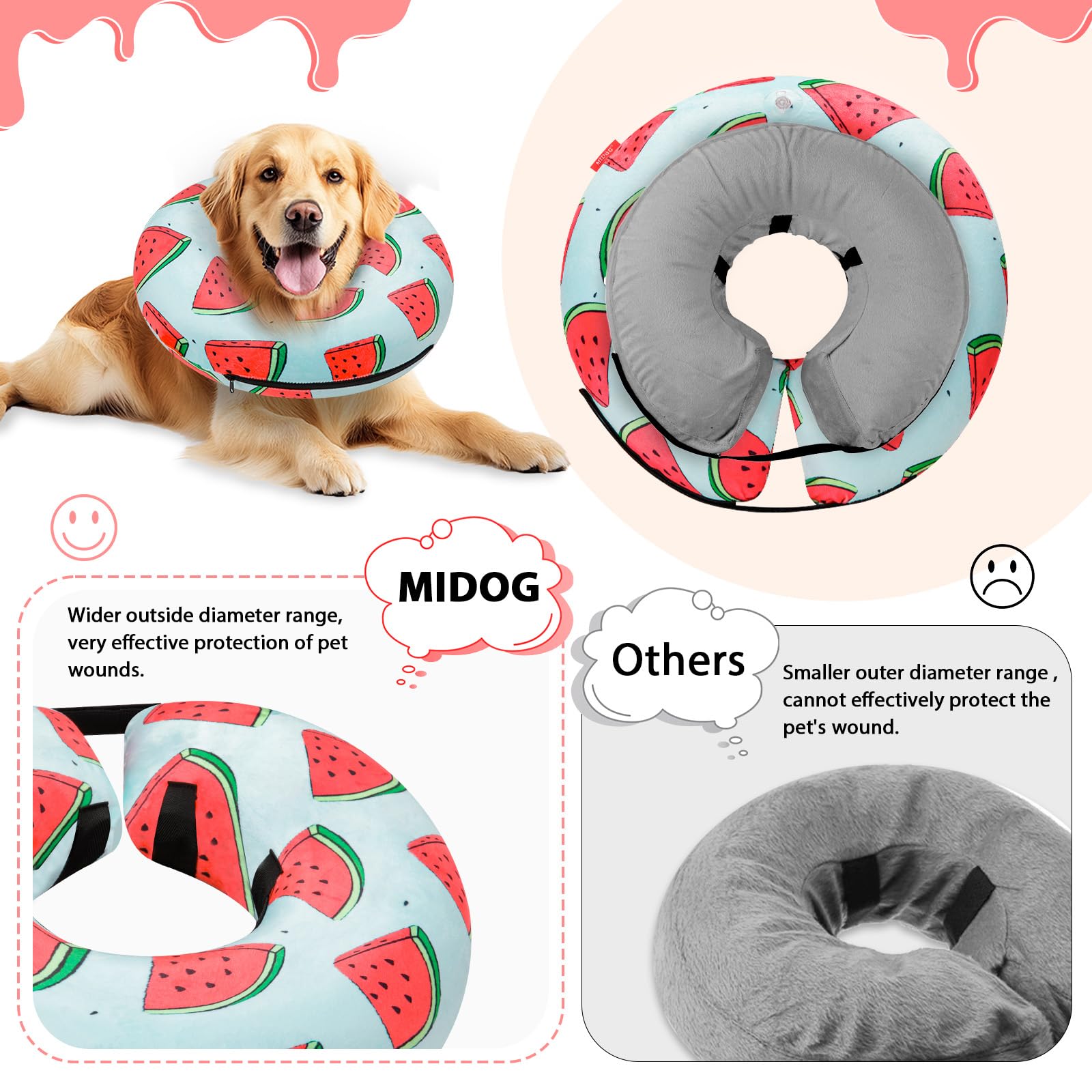 MIDOG dog eating with donut cone demonstrates unobstructed food and water access.