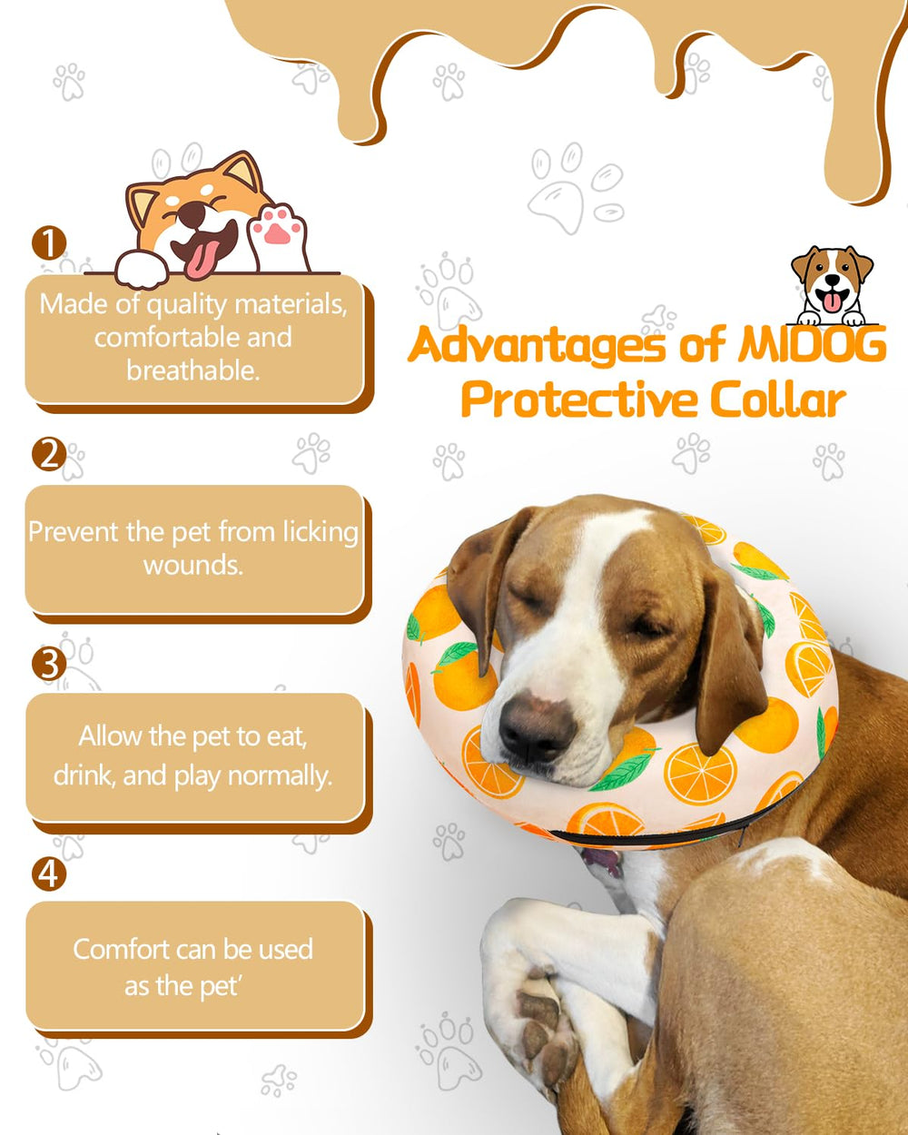 MIDOG donut collar orange XL side buckle demonstrates secure, adjustable fit