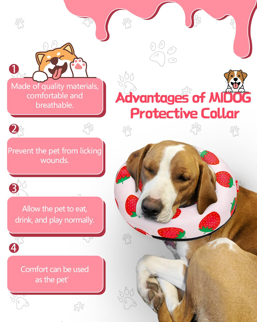 MIDOG inflatable donut cone on a dog during calm activity