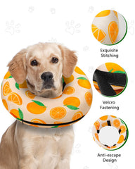 MIDOG donut cone orange view emphasizes clear peripheral vision during recovery