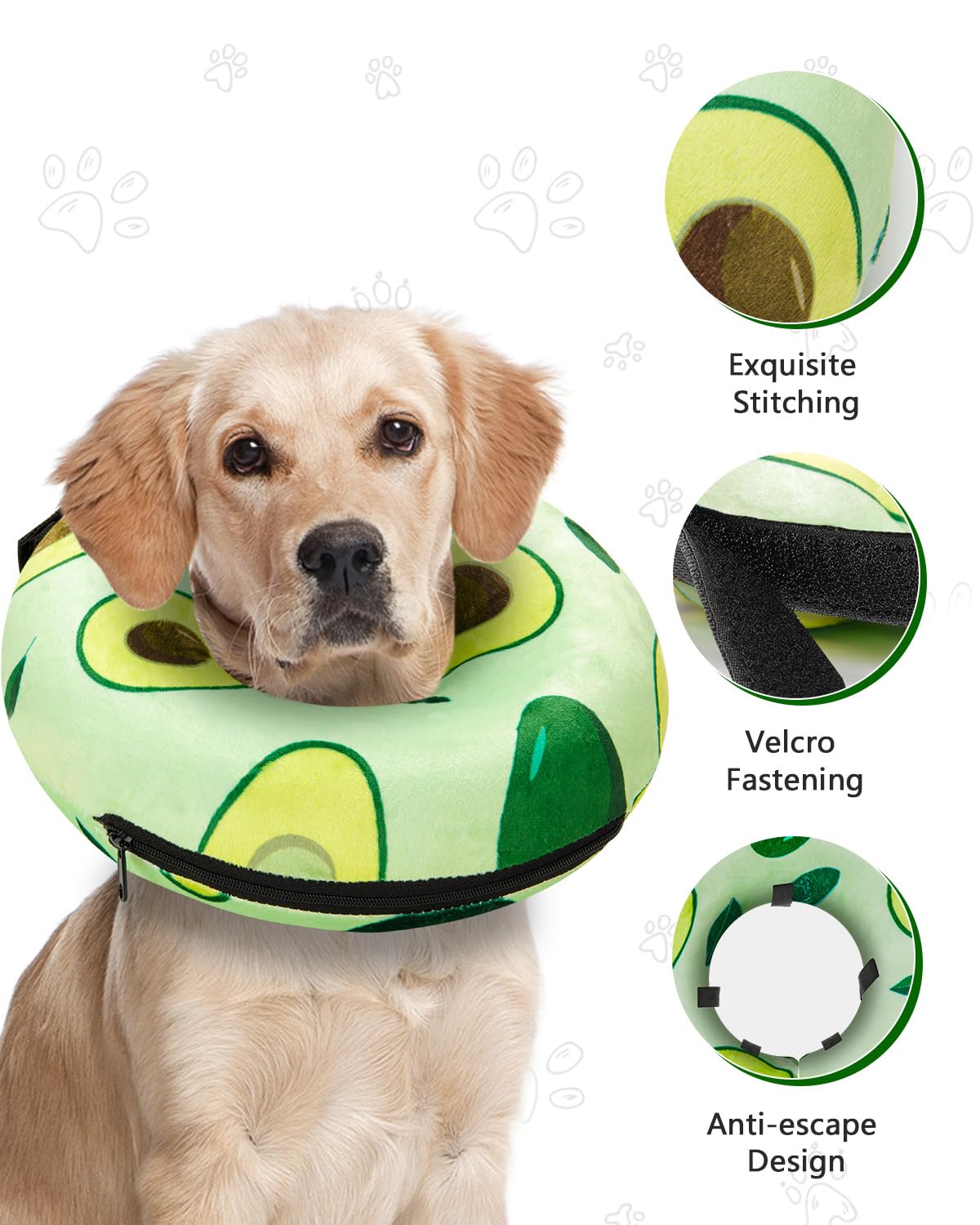 MIDOG donut collar lets dog eat and drink without obstruction