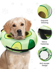 MIDOG donut collar lets dog eat and drink without obstruction