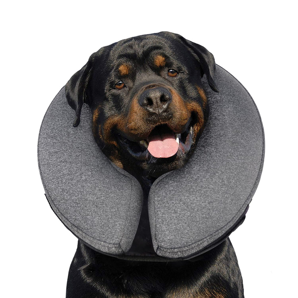 MIDOG inflatable-donut-collar-on-dog demonstrates breathable recovery protection.