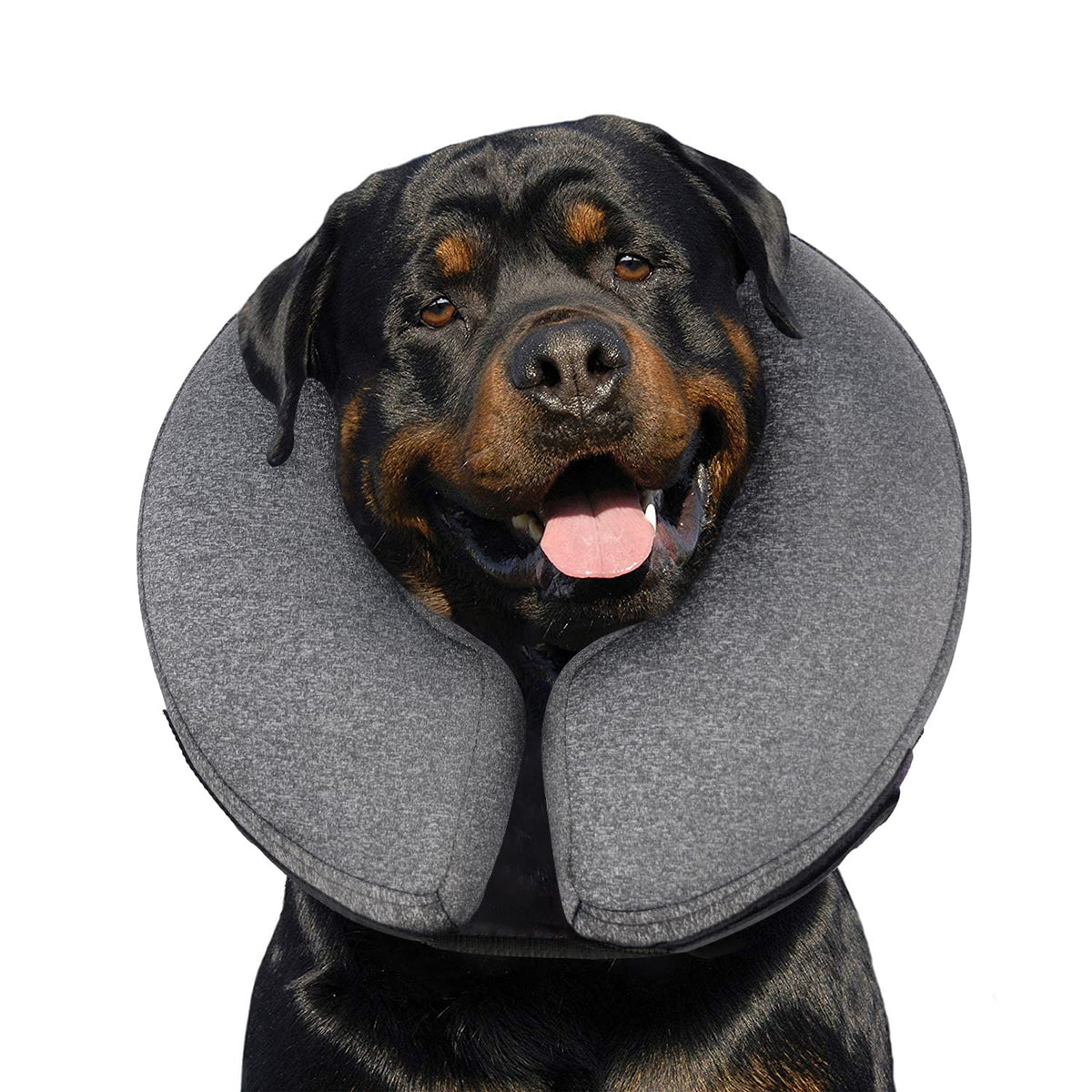 MIDOG inflatable-donut-collar-on-dog demonstrates breathable recovery protection.