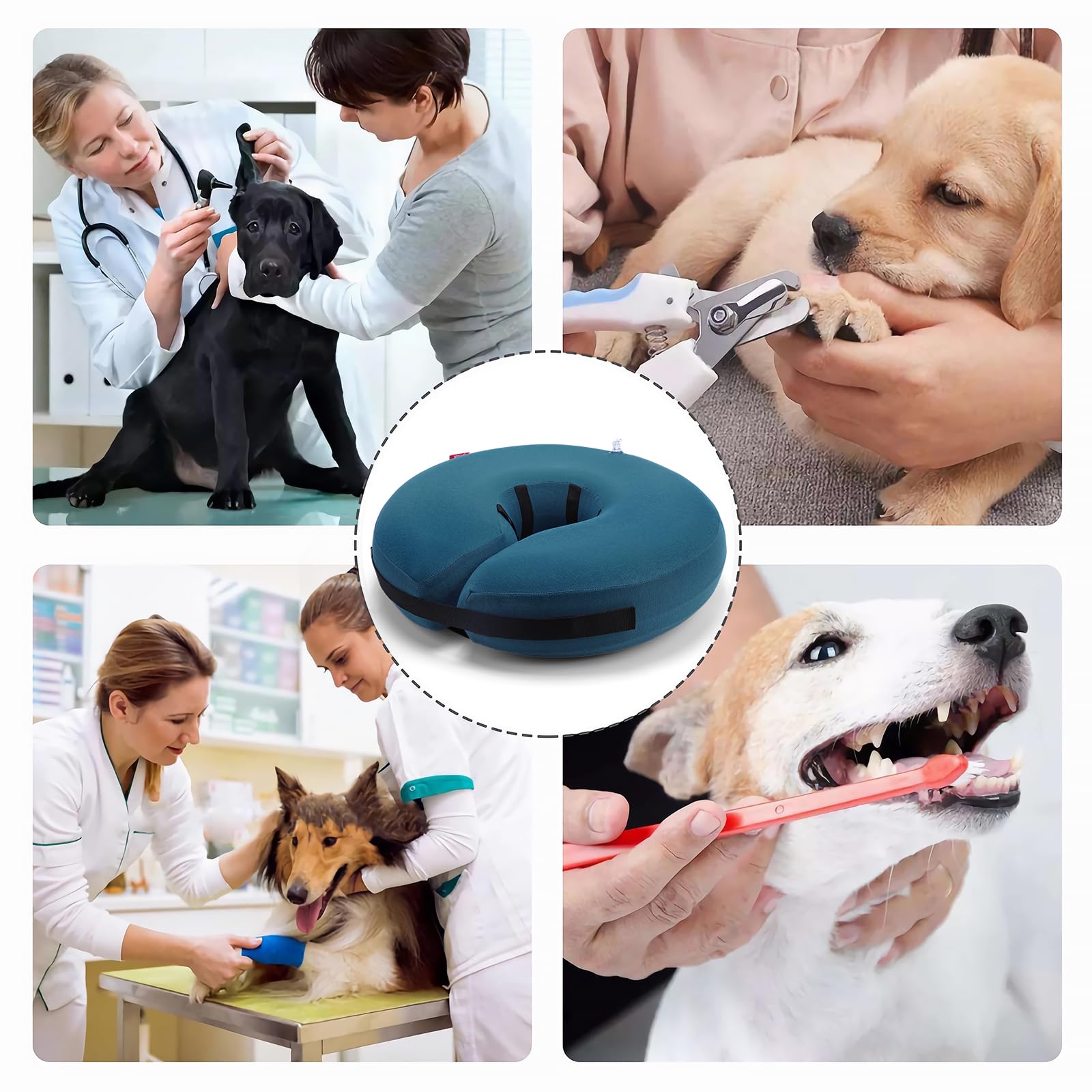 MIDOG inflatable donut cone blue suitable for small to large dogs and cats
