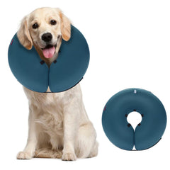 MIDOG inflatable donut cone blue worn by dog reduces licking and adds comfort