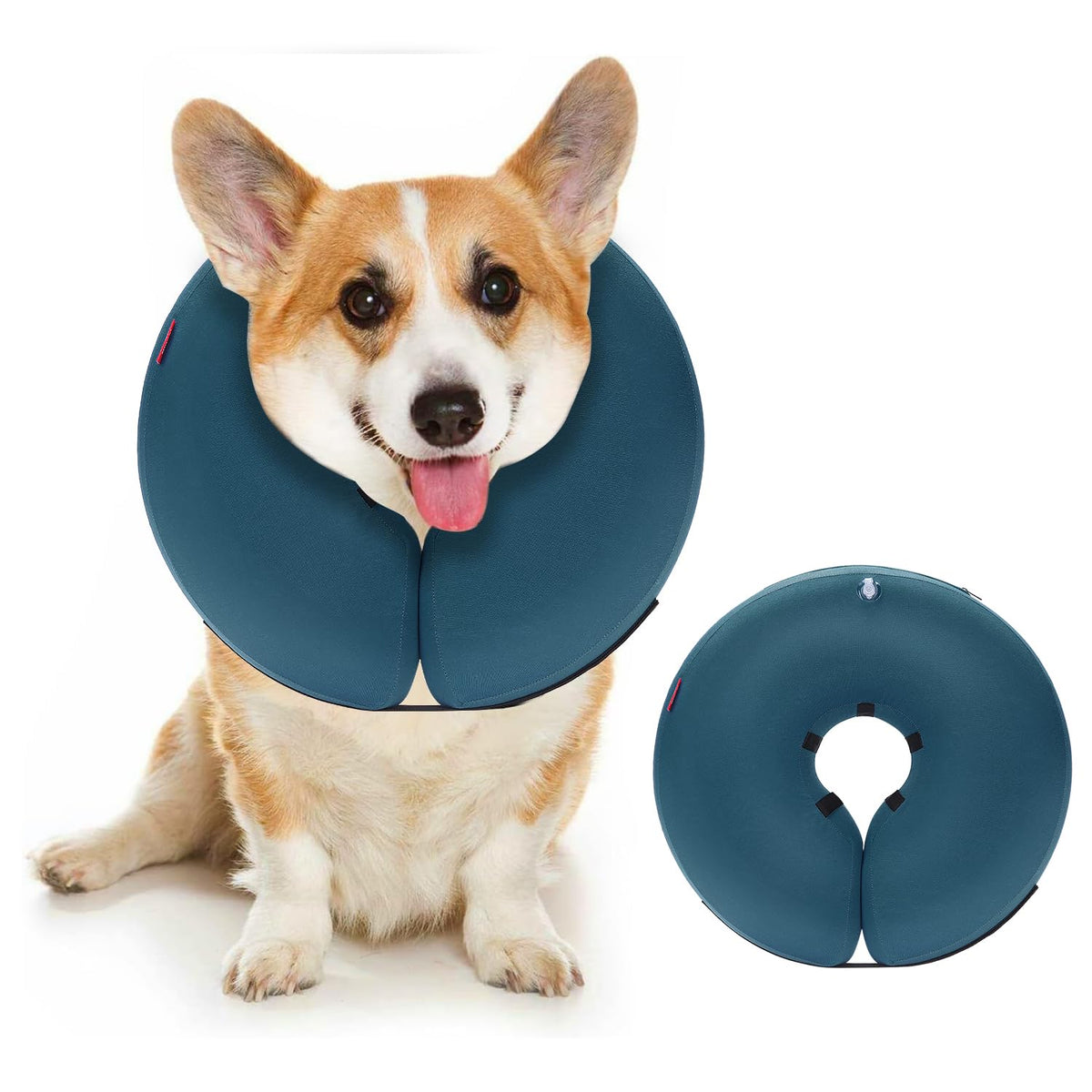 MIDOG inflatable donut cone blue worn on dog shows gentle protection during recovery