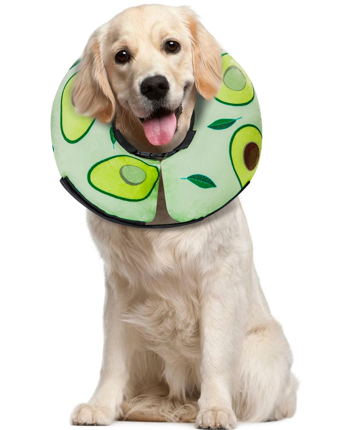 MIDOG inflatable donut cone collar on a dog keeping wounds protected after surgery
