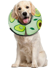 MIDOG inflatable donut cone collar on a dog keeping wounds protected after surgery