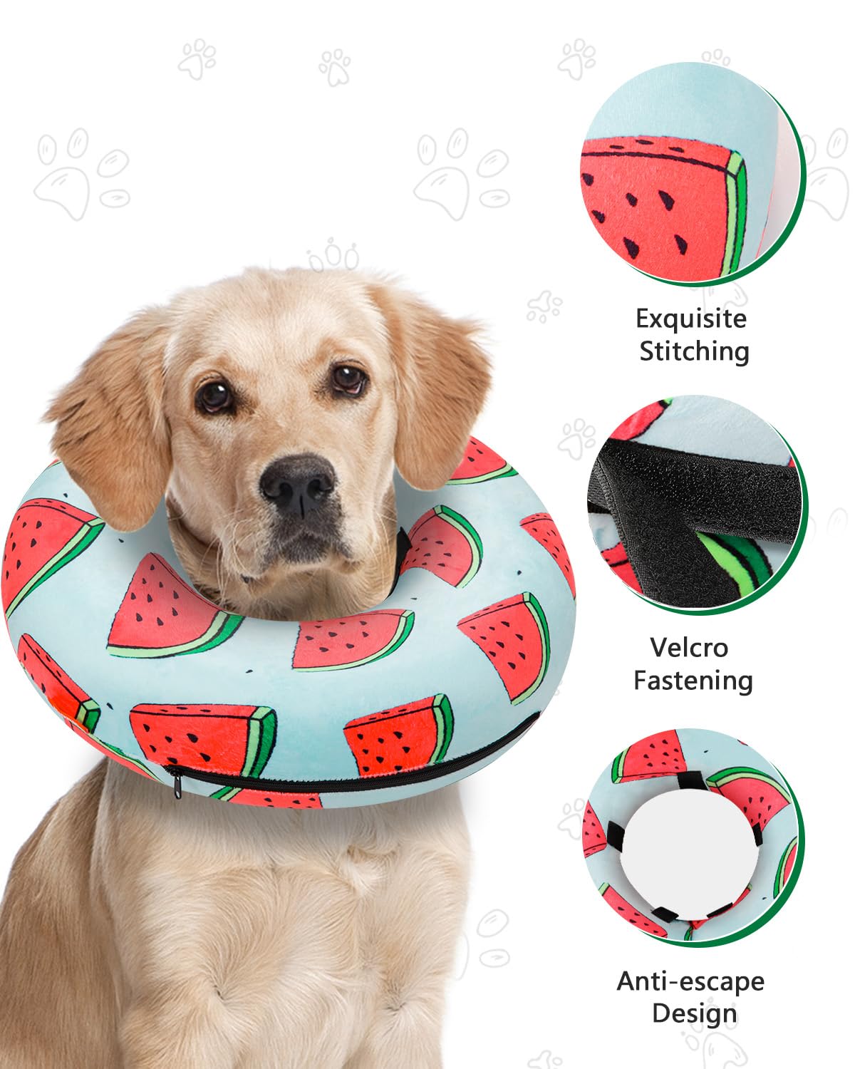 MIDOG inflatable donut cone lets a dog eat while wearing it.