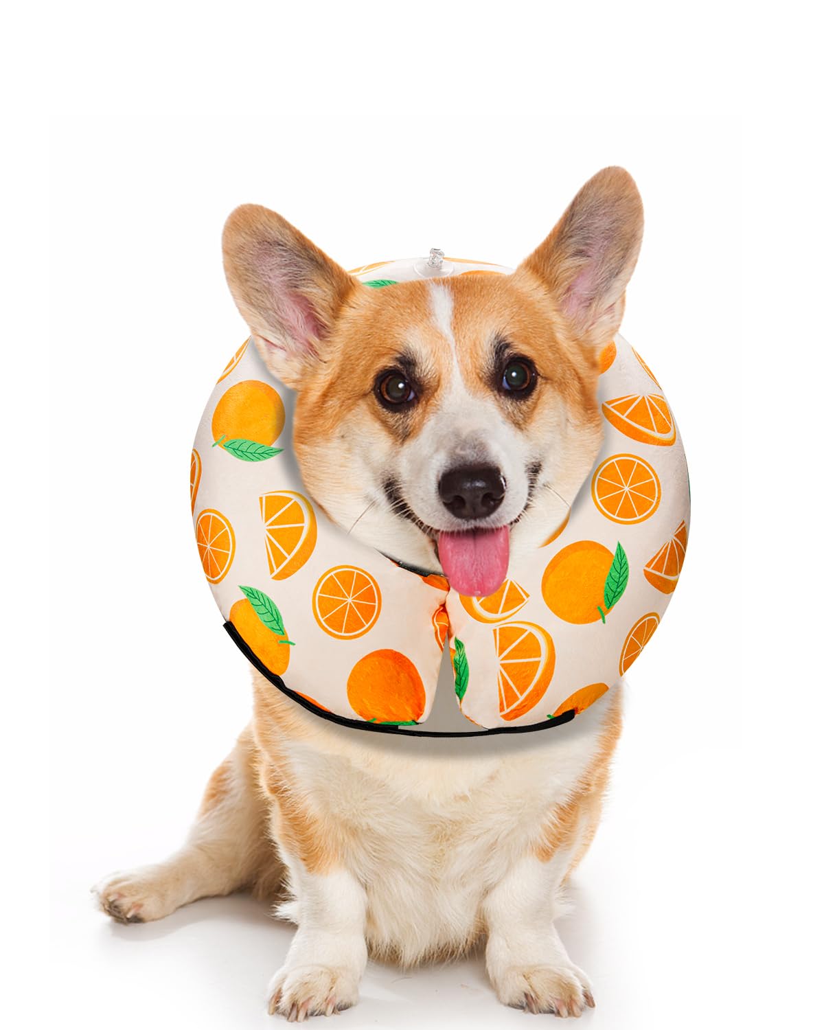 MIDOG inflatable donut cone front view showing soft protection for wounds