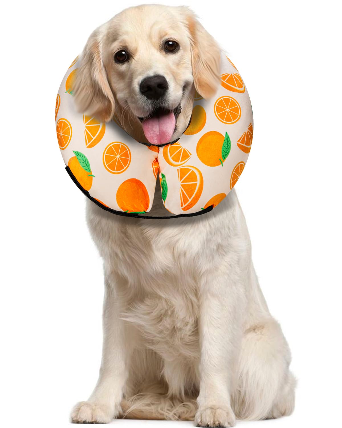 MIDOG inflatable donut cone orange closeup shows a soft protective barrier for post-surgery care