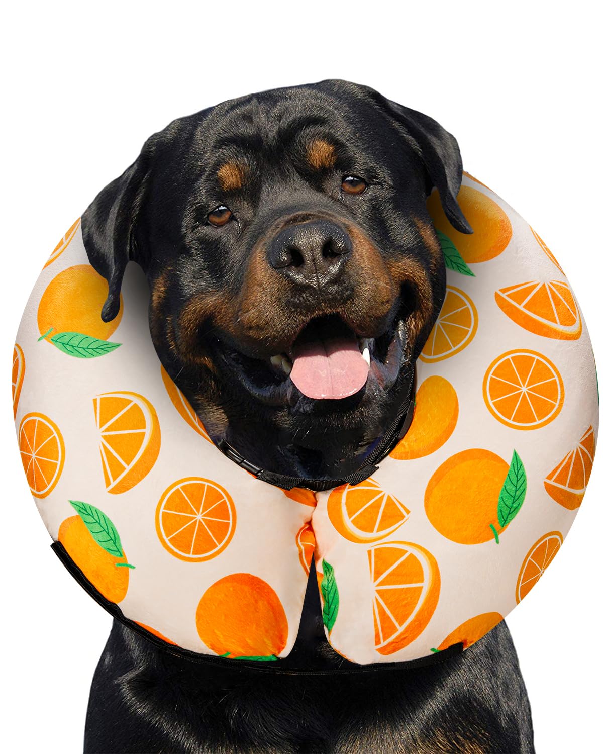 MIDOG inflatable donut cone orange XL front view enhances post-surgery protection