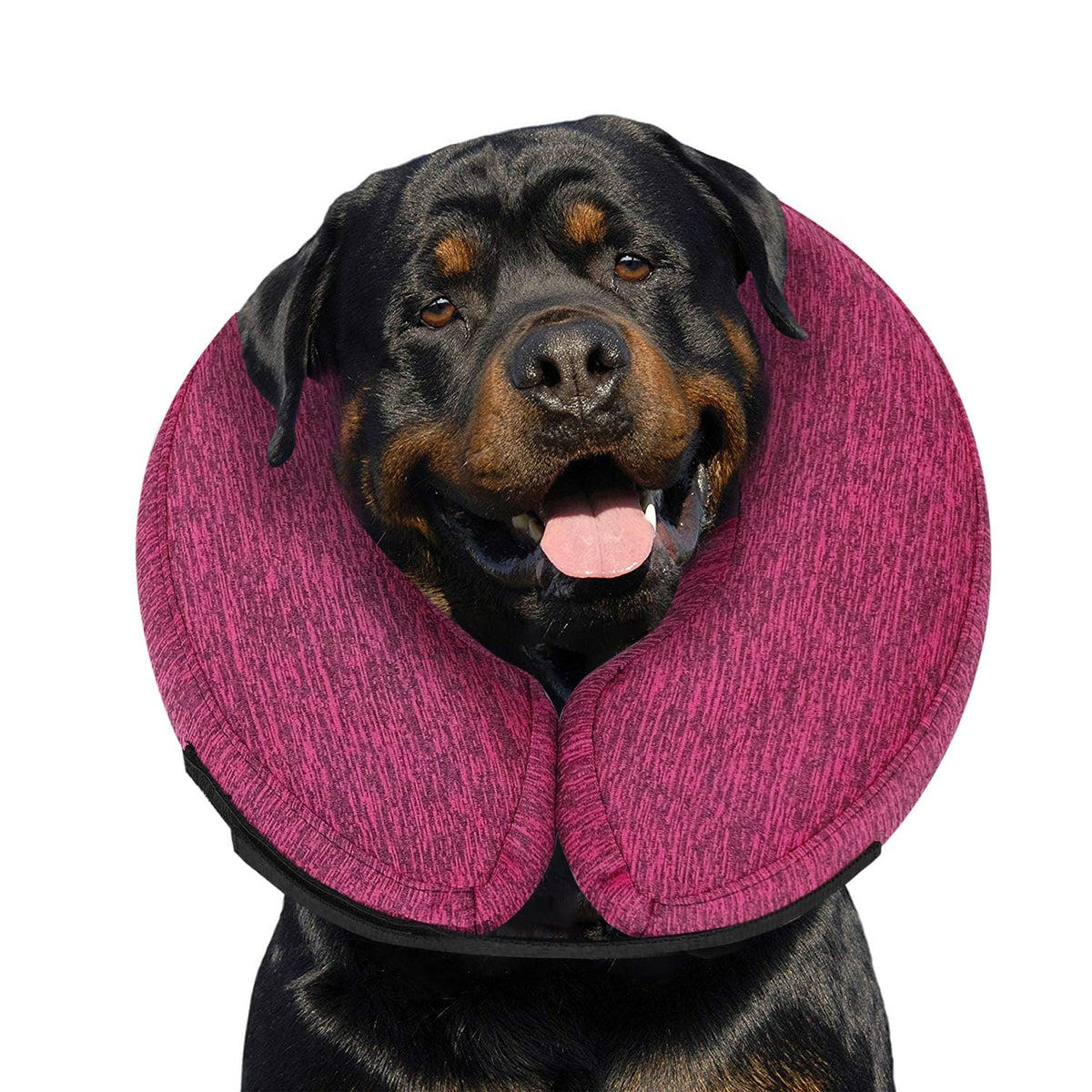 MIDOG inflatable-donut-cone-rose-closeup shows soft material for comfort and protection.