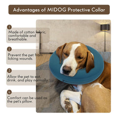 MIDOG donut cone secure buckle demonstrates adjustable fit for secure wear