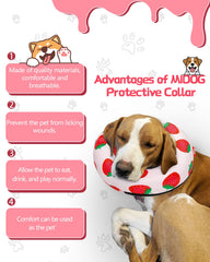 MIDOG inflatable donut cone strawberry-xl worn buckle demonstrates secure adjustable fit for comfortable recovery