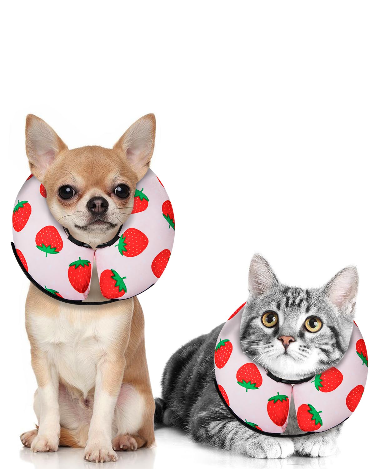 MIDOG inflatable donut cone strawberry xs on dog prevents licking wounds