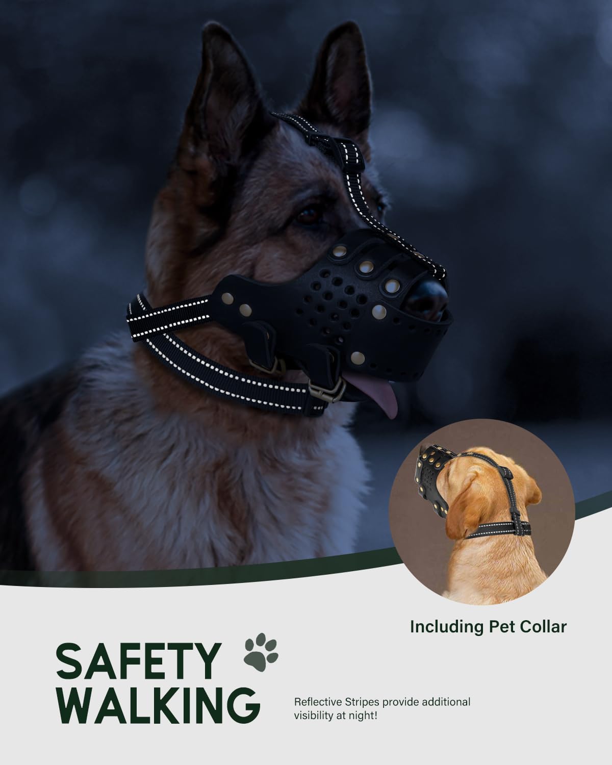 MIDOG large-dog muzzle in use during walk or vet visit.