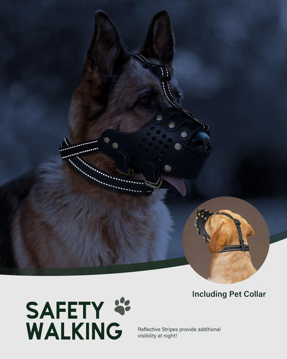 MIDOG large-dog muzzle in use during walk or vet visit.