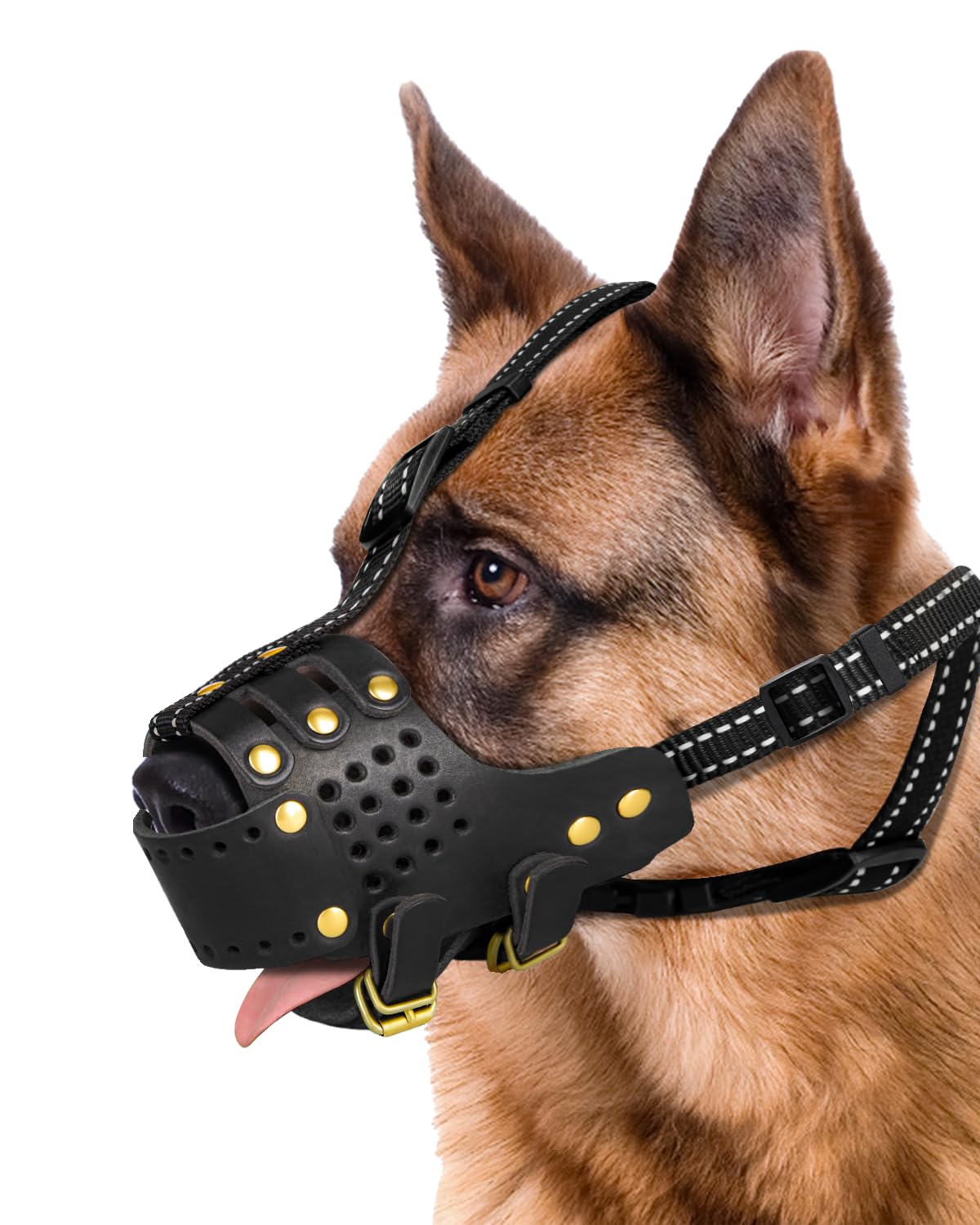MIDOG leather basket muzzle on a dog during a calm walk.