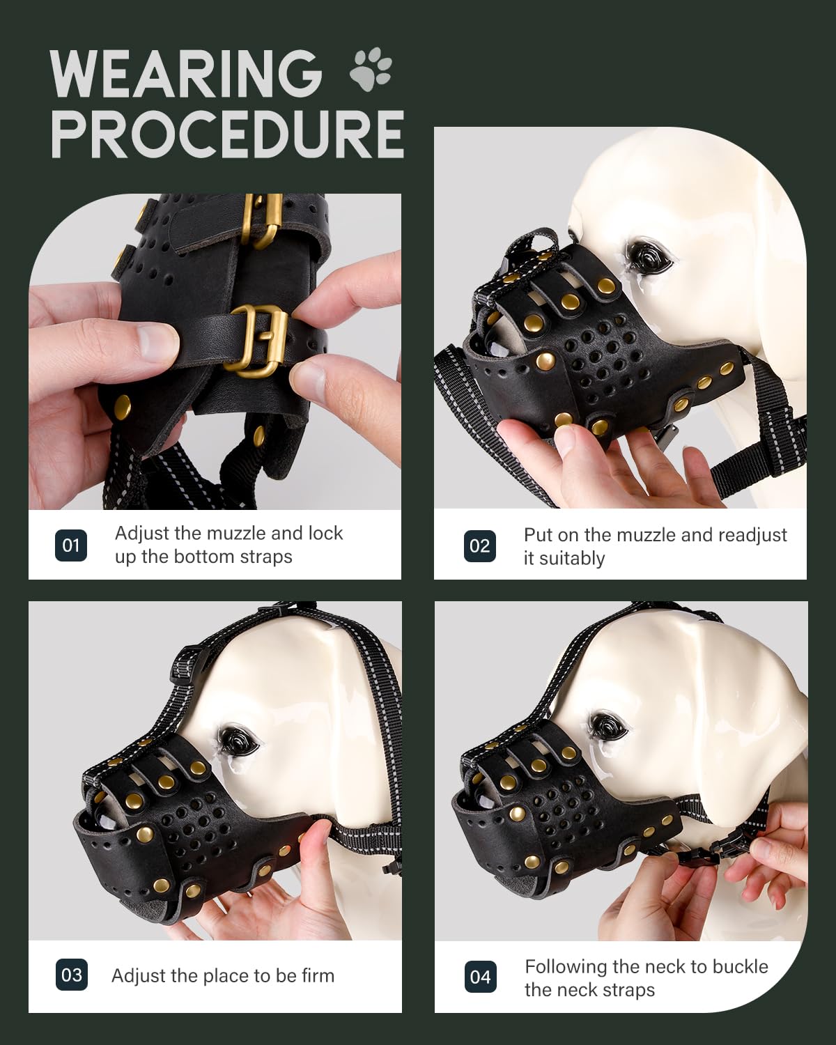 MIDOG leather muzzle easy-clean and care routine.