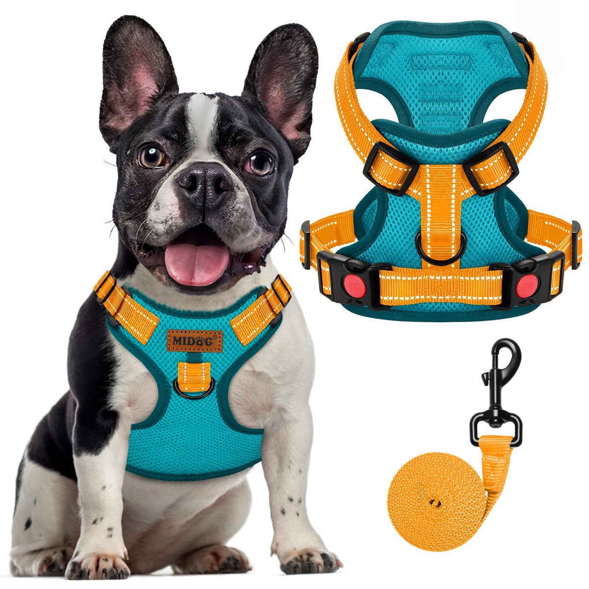 MIDOG no-pull harness blue front clip improves control during walks and training.