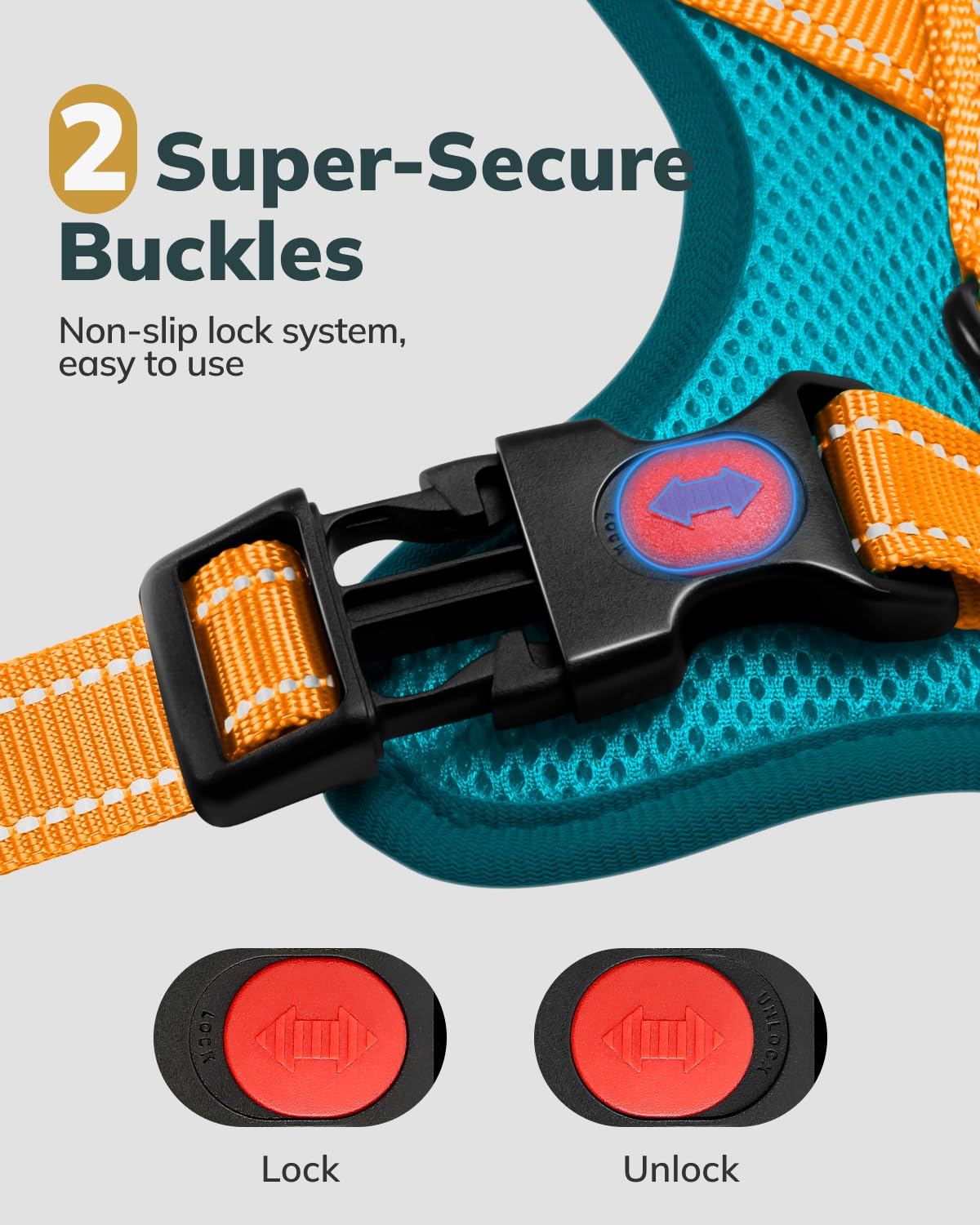 MIDOG no-pull harness ideal for daily walks and training.