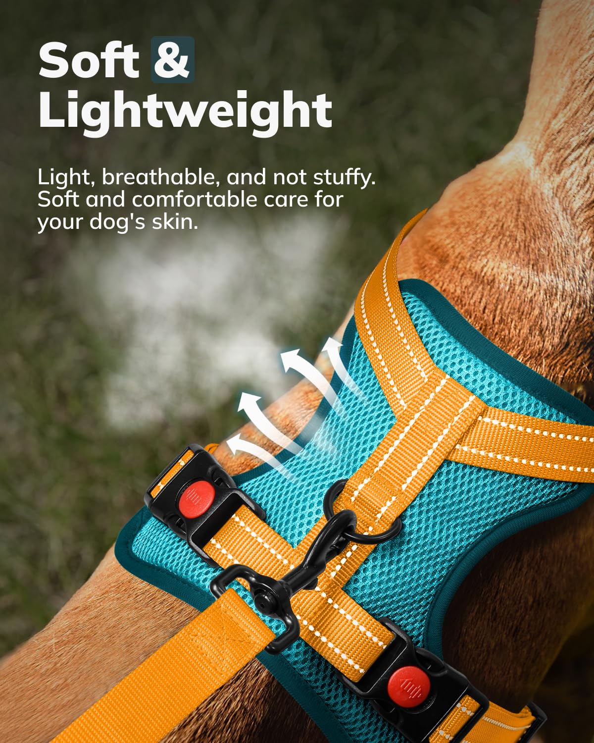 MIDOG easy-control-handle provides quick assist during busy walks.