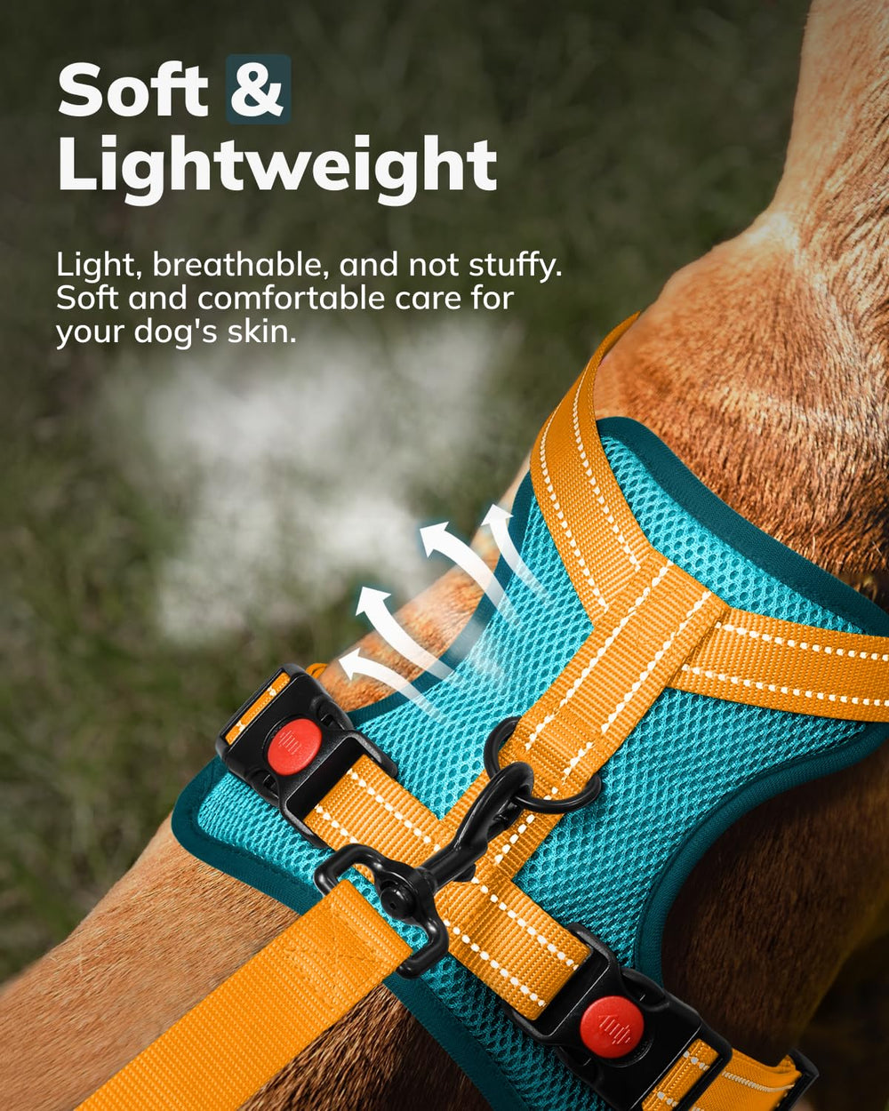 MIDOG easy-control-handle provides quick assist during busy walks.