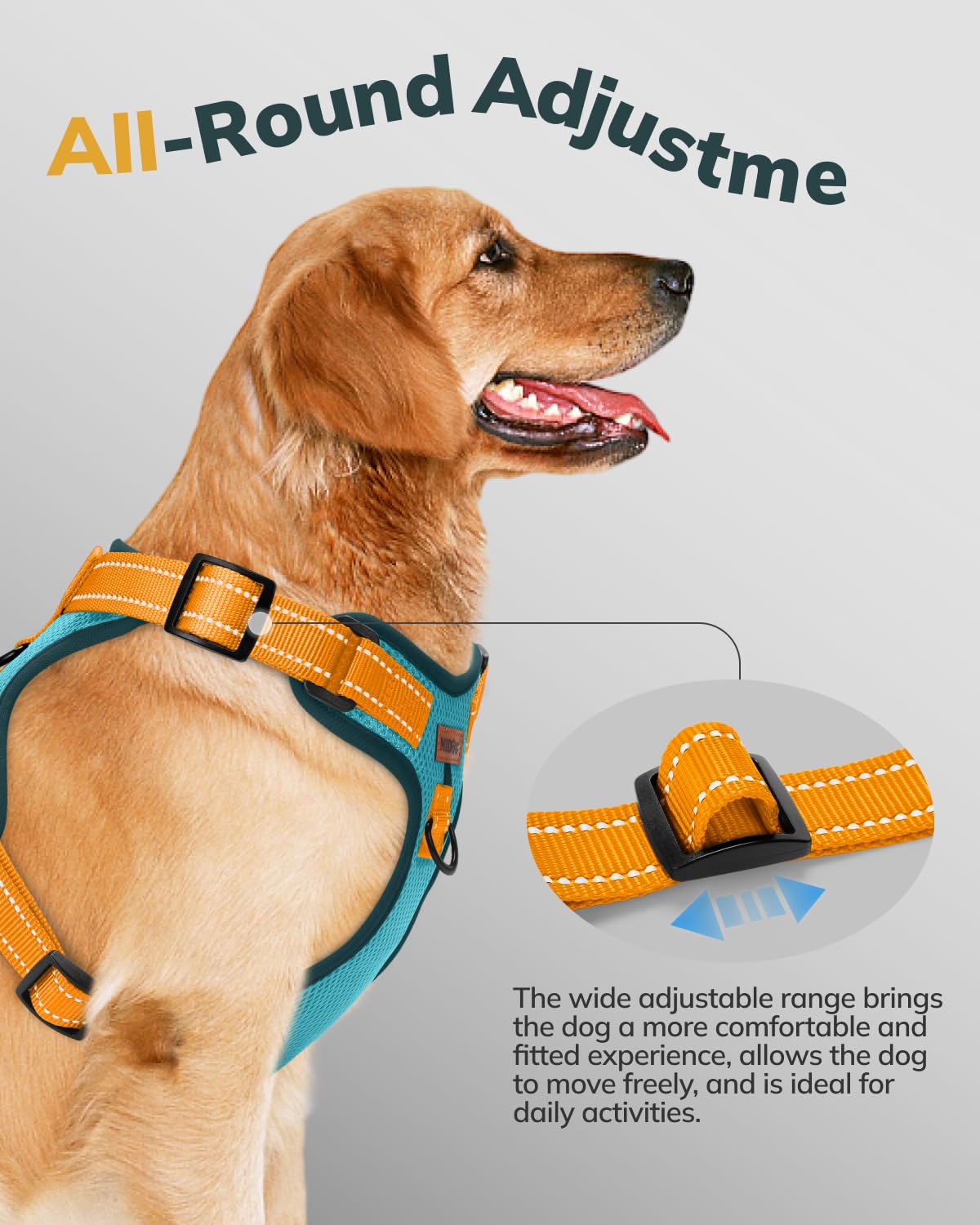 MIDOG four-adjustment-points ensure secure fit for growing dogs.