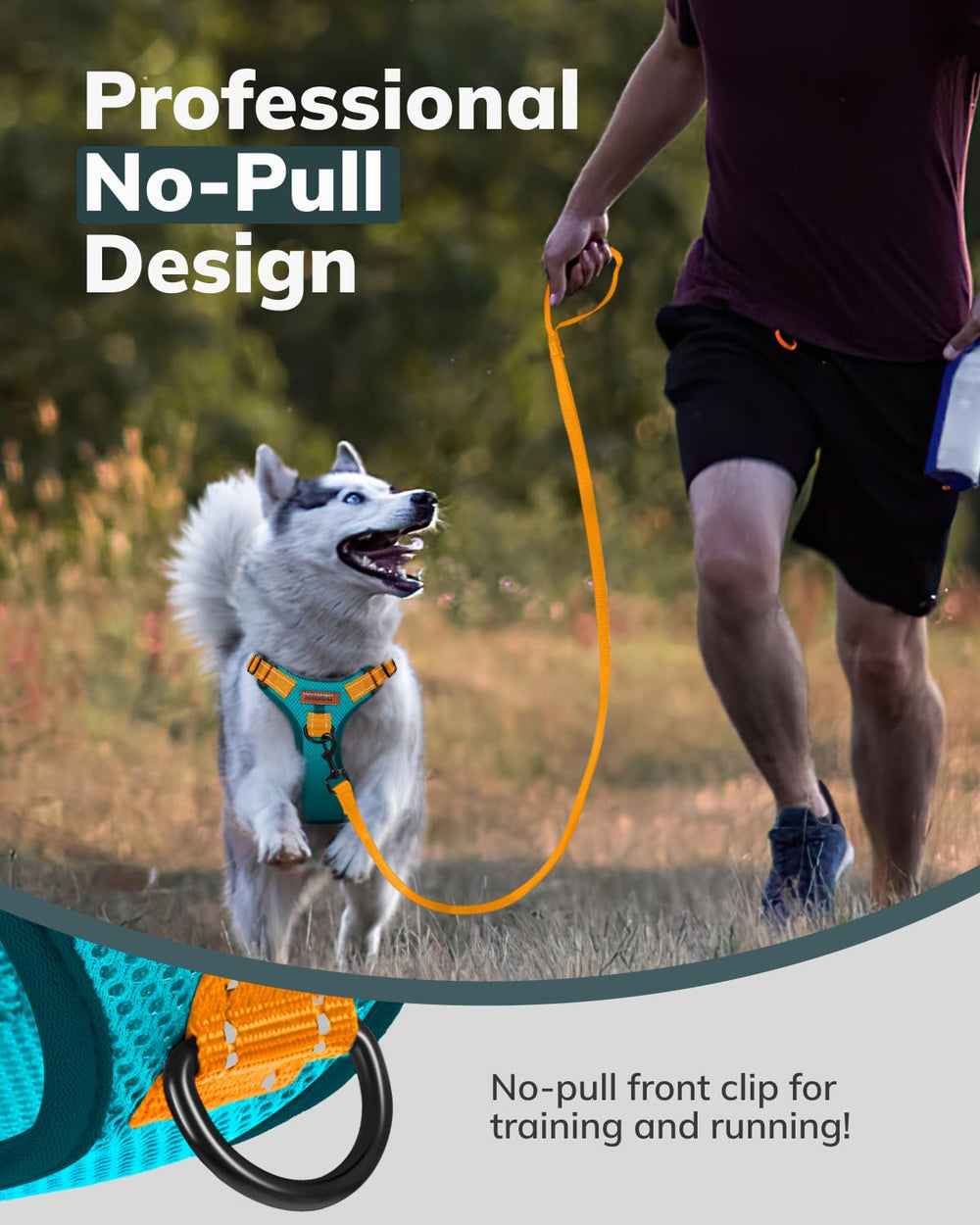 MIDOG reflective-straps enhance nighttime visibility for safer evening walks.