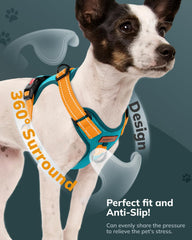 MIDOG padded-vest harness showcases soft padding for comfortable all-day wear.